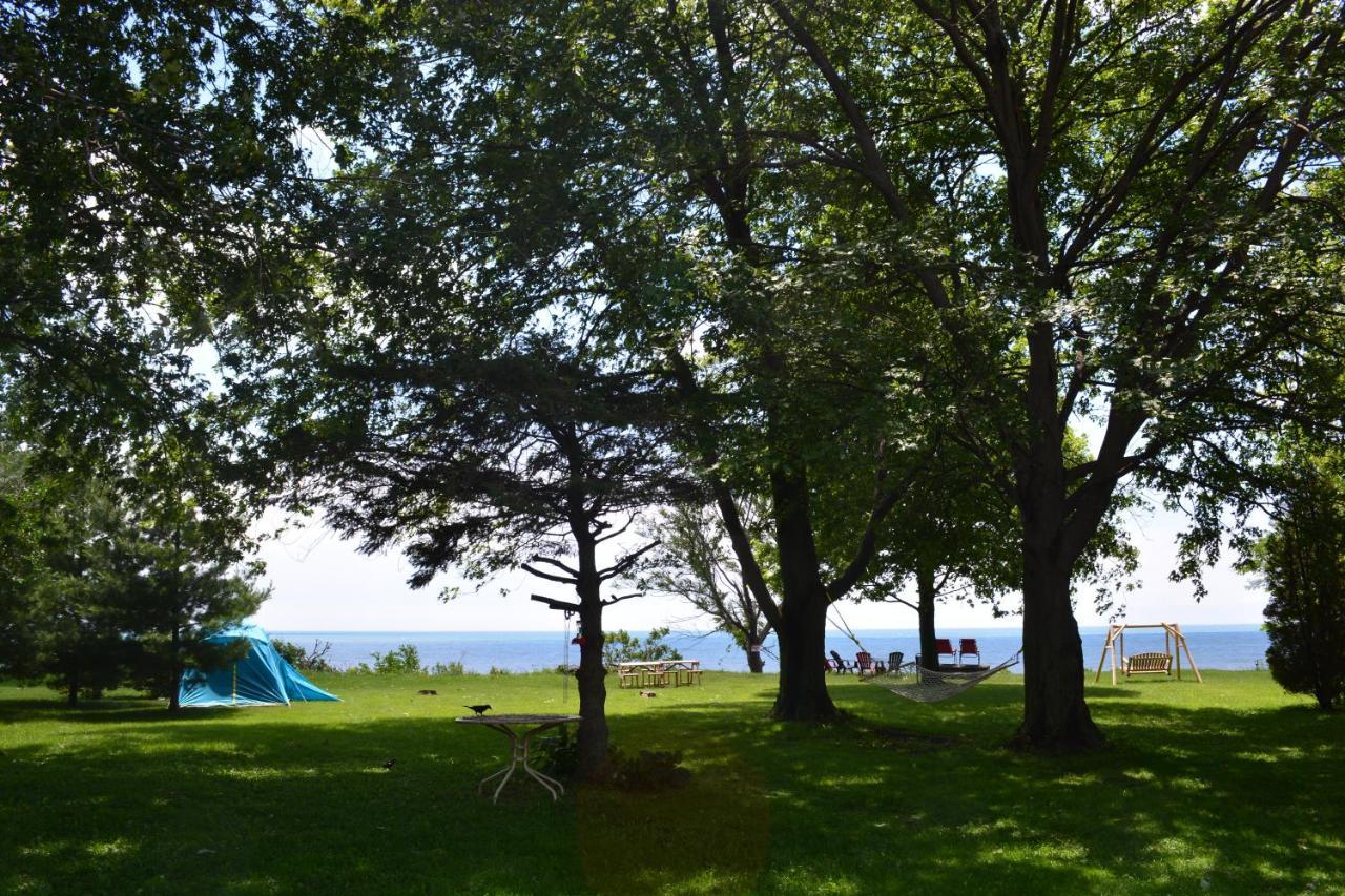Birds Point Cottage On A Cliff Facing Lake Erie. Wheatley Exterior photo